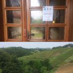 19105577_1782514298725928_7046090898795497318_n