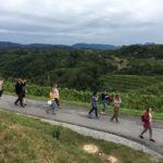 42497161_1528661783947095_3797837931138252800_o