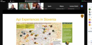 GenNZ Learns Apitourism with Europe’s Leading Expert